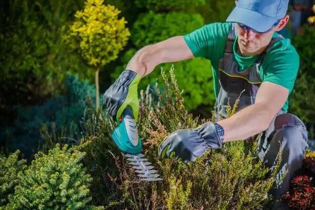 landscaping services Lake Arthur